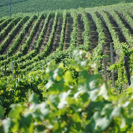 Hotel Cascina Dani *