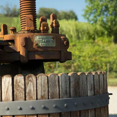 Cascina Dani Szálloda Agliano Terme